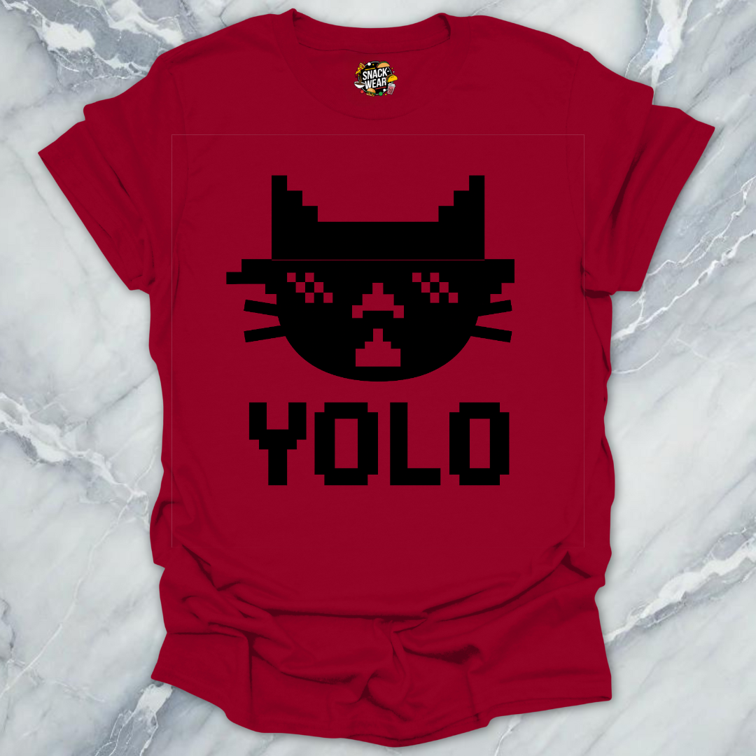 Monochrome YOLO Bites Cat